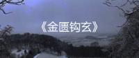 《金匱鉤玄》