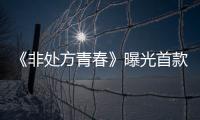 《非處方青春》曝光首款海報 清新呈現活力又斑斕的青春群像