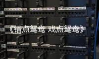 《錯點鴛鴦 戲點鴛鴦》全集劇情