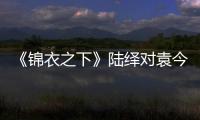 《錦衣之下》陸繹對袁今夏都有哪些感情？