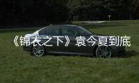 《錦衣之下》袁今夏到底是誰的女兒？袁今夏的身世如何？