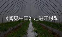 《閱見中國》走進開封 探索中華文明之光
