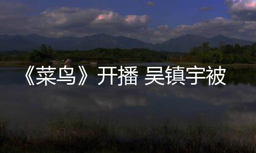 《菜鳥》開播 吳鎮宇被問脾氣大甩臉走人【娛樂新聞】風尚中國網