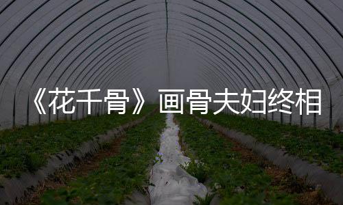 《花千骨》畫骨夫婦終相見 桃花羹再掀刷屏熱【娛樂新聞】風尚中國網