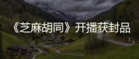 《芝麻胡同》開播獲封品質大劇 王鷗被贊顏美戲好有實力