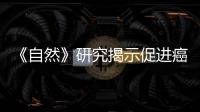 《自然》研究揭示促進癌細胞死亡的重要靶點