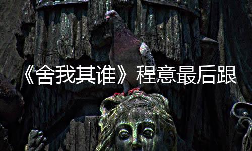 《舍我其誰》程意最后跟誰在一起了?