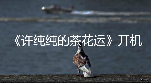 《許純純的茶花運》開機 郭子凡李墨之成歡喜冤家
