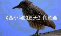 《西小河的夏天》角逐釜山電節新浪潮獎