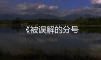 《被誤解的分號(hào)