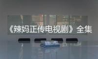 《辣媽正傳電視劇》全集在線觀看
