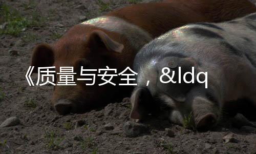 《質量與安全，“鞋”力同行》研討會在石召開