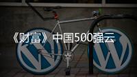 《財富》中國500強云上對話 格創東智：精益是驅動業務核心力量