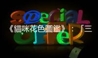 《貓咪花色圖鑑》：「三花貓全都是母的」，是科學還是都市傳說？