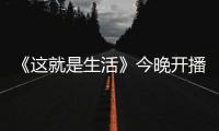 《這就是生活》今晚開(kāi)播 劉愷威陳都靈領(lǐng)銜主演