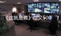 《這就是我》作文500字