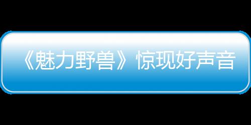 《魅力野獸》驚現好聲音高音王張瑋 【娛樂新聞】風尚中國網