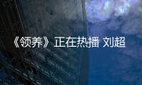 《領(lǐng)養(yǎng)》正在熱播 劉超精彩演繹征服觀眾