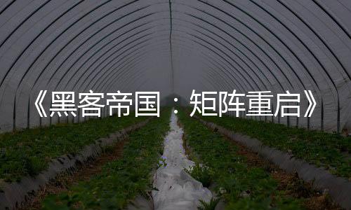 《黑客帝國：矩陣重啟》海報首發原班人馬驚喜回歸