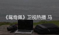 《鴛鴦佩》衛視熱播 馬浚偉飾兩角亦正亦邪【娛樂新聞】風尚中國網
