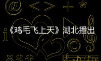 《雞毛飛上天》湖北播出 張譯殷桃時代浮沉