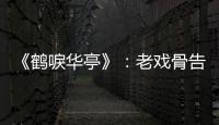《鶴唳華亭》：老戲骨告訴你，真正的“演技炸裂”很收斂！