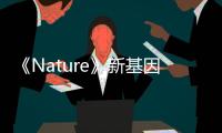 《Nature》新基因組尺度篩選平臺，以編程免疫系統
