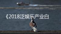 《2018泛娛樂產業白皮書》發布
