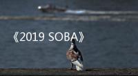 《2019 SOBA》今晚登場　龐大陣容引發期待！
