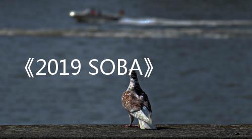《2019 SOBA》今晚登場　龐大陣容引發(fā)期待！