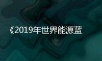 《2019年世界能源藍皮書》發(fā)布