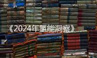 《2024年氫能洞察》報(bào)告：全球氫能行業(yè)已承諾資本達(dá)750億美元但仍不夠