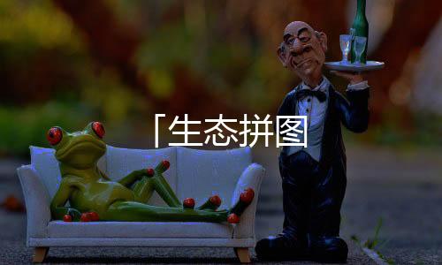 「生態(tài)拼圖