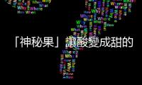 「神秘果」讓酸變成甜的秘密：特定條件下才能活化甜味受體的「奇蹟素」