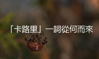 「卡路里」一詞從何而來？為什麼專家說單純計算卡路里過時且危險？