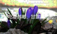 「吃蔓越莓、甘露糖預防泌尿道感染」有科學根據嗎？