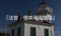「法官，傳喚現場證貓」澳洲研究證實貓咪終於可在犯罪現場派上用場
