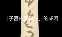 「子宮內(nèi)膜增生」的成因與治療，中醫(yī)觀點來看是「氣滯血瘀」的表現(xiàn)