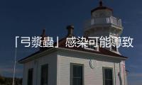 「弓漿蟲」感染可能導(dǎo)致畸胎、流產(chǎn)，孕婦要留意的不只有貓糞
