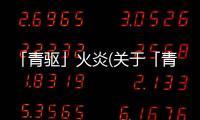 「青驅(qū)」火炎(關(guān)于「青驅(qū)」火炎簡述)