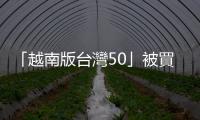 「越南版臺灣50」被買到世界第二大　00885風險分析｜天下雜誌