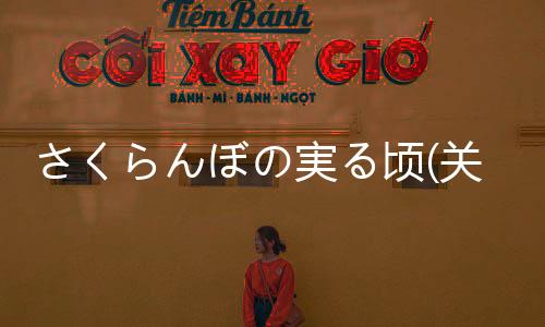 さくらんぼの実る頃(關于さくらんぼの実る頃簡述)