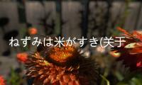 ねずみは米がすき(關于ねずみは米がすき簡述)