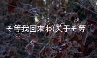 そ等我回來わ(關于そ等我回來わ簡述)