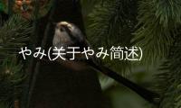 やみ(關于やみ簡述)