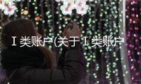 Ⅰ類賬戶(關(guān)于Ⅰ類賬戶簡述)