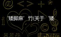 ‘矮腳麻’竹(關(guān)于‘矮腳麻’竹簡(jiǎn)述)