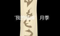 ‘我的選擇’月季