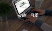 ‘寂靜’月季