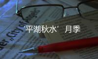 ‘平湖秋水’月季